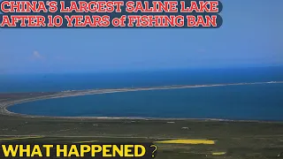 Remarkable Results Emerge After 10 Years of Fishing Ban in China's Largest Saltwater Lake.