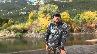 Moose calling tutorial