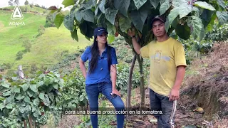 El poder de dos #SolucionesADAMA en Tomate de Árbol