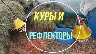 ПОЛЕЗНОЕ ТЕПЛО В КУРЯТНИКЕ - ТЕПЛИЦЕ Способы обогрева кур зимой  сильный мороз Что такое Рефлектор