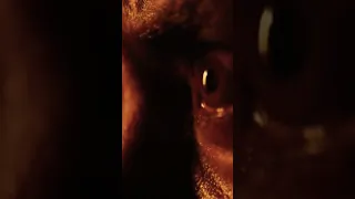 kgf Garuda kill Rocky Best scene #kgf #viral #shorts