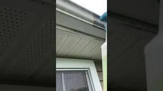 DIY tip: How to whiten your gutters with very little effort and scrubbing with bleach