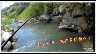 山林野溪釣魚趣,避暑的好去處!