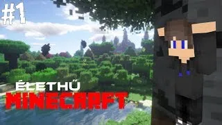 MINDEN KEZDET NEHÉZ! 🐱 ÉLETHŰ MODOLT Minecraft 1. rész