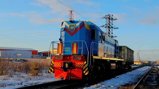 ТЭМ2М-234 следует с полувагоном на заречной степи🌲🛤🌲