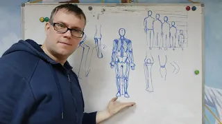Малювання людини. Скелет та пропорції людини.