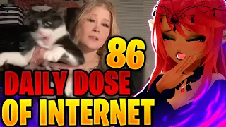 KITTY WAAAAH!! | Daily Dose of Internet Reaction