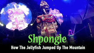 Shpongle - How The Jellyfish Jumped Up The Mountain (Live in London 2013)