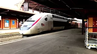 Gare de Strasbourg-Ville - Compilation de TGV, ICE, Intercités, TER et Régio Shuttle