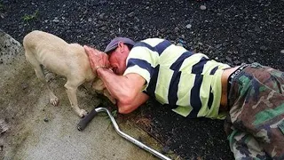 Люди равнодушно проходили мимо старика, который лежал на земле, только собака пыталась помочь