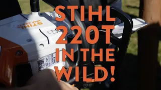 The New Stihl 220T in the Wild - vs 161T - Cordless Battery Top Handle Chainsaws at APF Show 2022