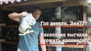 Выгодно ли держать кроликов? И есть ли прибыль?!