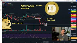 Recap of the first sign of Doge Recovery in 1 Month after Elon Tweet - SpaceX Tsla #DOGE #SPY #LUNA