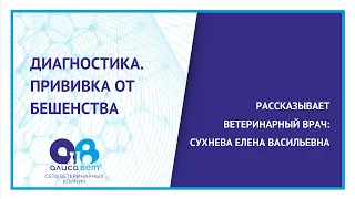 Диагностика бешенства. Прививка от бешенства.