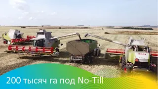 200 тысяч га под No-Till