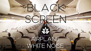 Airplane white noise (no ads) for Sleeping, Studying or Focus. BLACK SCREEN Audio Relax. ASMR