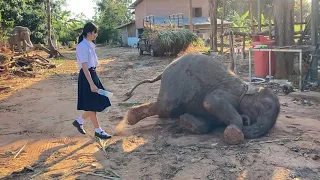 เกิดอะไร? กับสุพรรษา นอนกลิ้ง⚠️งอนพี่ฟิล์ม