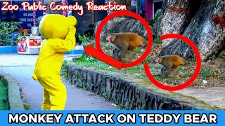 Teddy Bear Attack On Monkey 🐒 | Teddy Bear Prank | Am Action