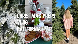 Покупка и декорирование ёлки | Подготовка к Рождеству в США