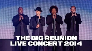 DAMAGE - I'LL BE LOVING YOU FOREVER (THE BIG REUNION LIVE CONCERT 2014)