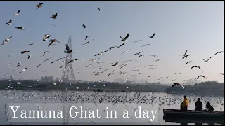 Yamuna Ghat in a day - Ethnographic film