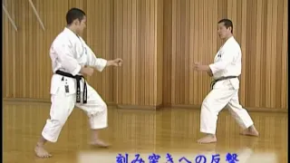 Masao Kagawa sensei. Ashi-waza, tai-sabaki. Jiyu-ippon-kumite with Nagaki Shinji.