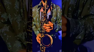 ROZA FILBERG - TANGO (SAX cover by OMSAX)