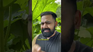 Doctor Explains How To Beat Hayfever!