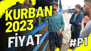 KURBAN FİYATLARI  / BURSA 2023