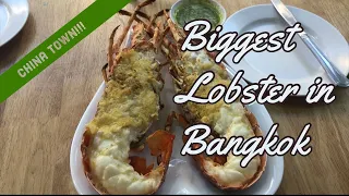 The giant lobster [ China town Bangkok Thailand] ❤️Rainbow lobster ❤️ Thai seafood.