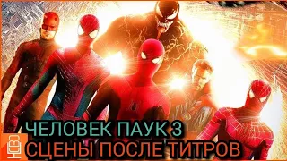 Человек паук 3 нет пути домой- Сцены после титров раскрыт.