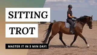Sitting The Trot | How To Move Your Seat