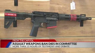 Assault weapons ban fails in committee