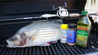 Catch n' Grill Striped Bass - Crazy Feeding Frenzy!