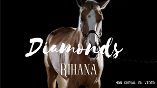 Diamonds - vidéo de cheval