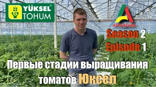 Агрокоин 2021. Первые стадии выращивания томатов Юксел. Episode 1 (9 апреля 2021)