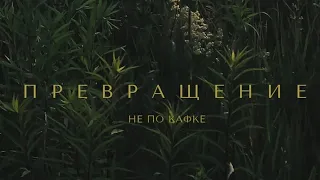 превращение не по Кафке (2023), фильм Маши Осмоловской