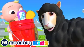 Baa Baa Black Sheep | @CoComelon | Kids Learning Videos | ABCs And 123s