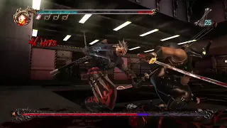 Ninja Gaiden 2 - Ryu Hayabusa vs Genshin Part 2