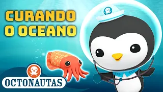 Octonautas - 🩹 Curando o Oceano 🐧 | Compilação do Peso | Compilação | Episódios inteiros