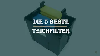 Die 5 Besten Teichfilter im Test