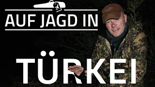 Auf Jagd in: Alte Bassen in der Türkei | JÄGER auf Sauen in den Bergen