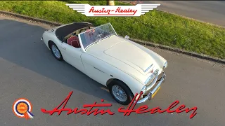 The Austin Healey Channel