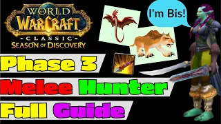 Melee Hunter Phase 3 Full Guide - BiS - Gear - Rotation - Runes - Consume - Talents - Spec - Pet