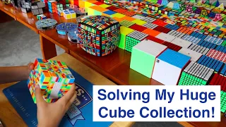 Solving My ENTIRE 400+ Cube Collection!!