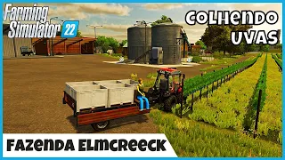 FS22 | Uma Maneira Barata de Colher Uvas, Fazenda Elmcreeck | FARMING SIMULATOR 22