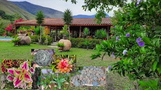 TOUR POR LA HERMOSA FINCA DE DOÑA AURORA, SUCULENTAS, ORQUÍDEAS Y MUCHO MÁS: FINCA LA AURORA