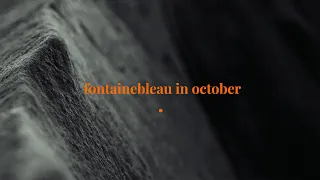 Fontainebleau Bouldering | October 2022