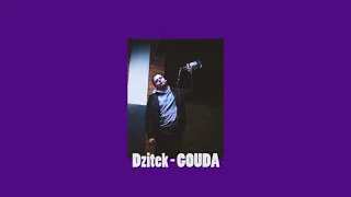 dzitek -  GOUDA