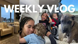 weekly vlog! we got a puppy+Life update+solar eclipse+kitchen organization+kids hygiene+room updates